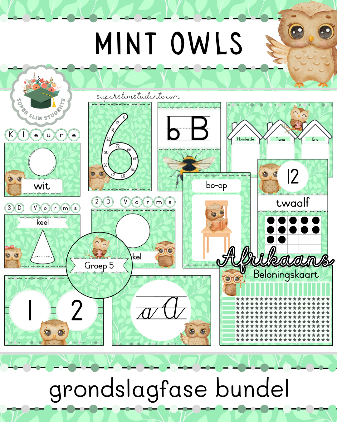 Mint Owls Theme / Foundation Phase Bundle [Choose Language]