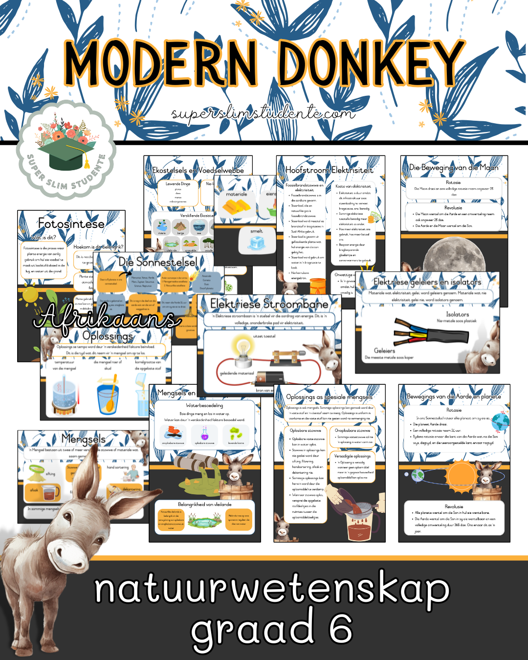 Modern Donkey Theme / NS Grade 6 Bundle [Choose Language]