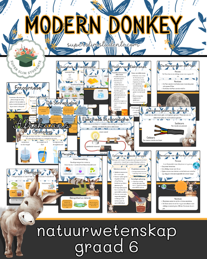 Modern Donkey Theme / NS Grade 6 Bundle [Choose Language]