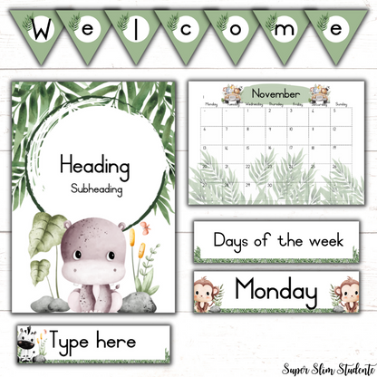 Cute Safari Classroom Theme (Foundation Phase)