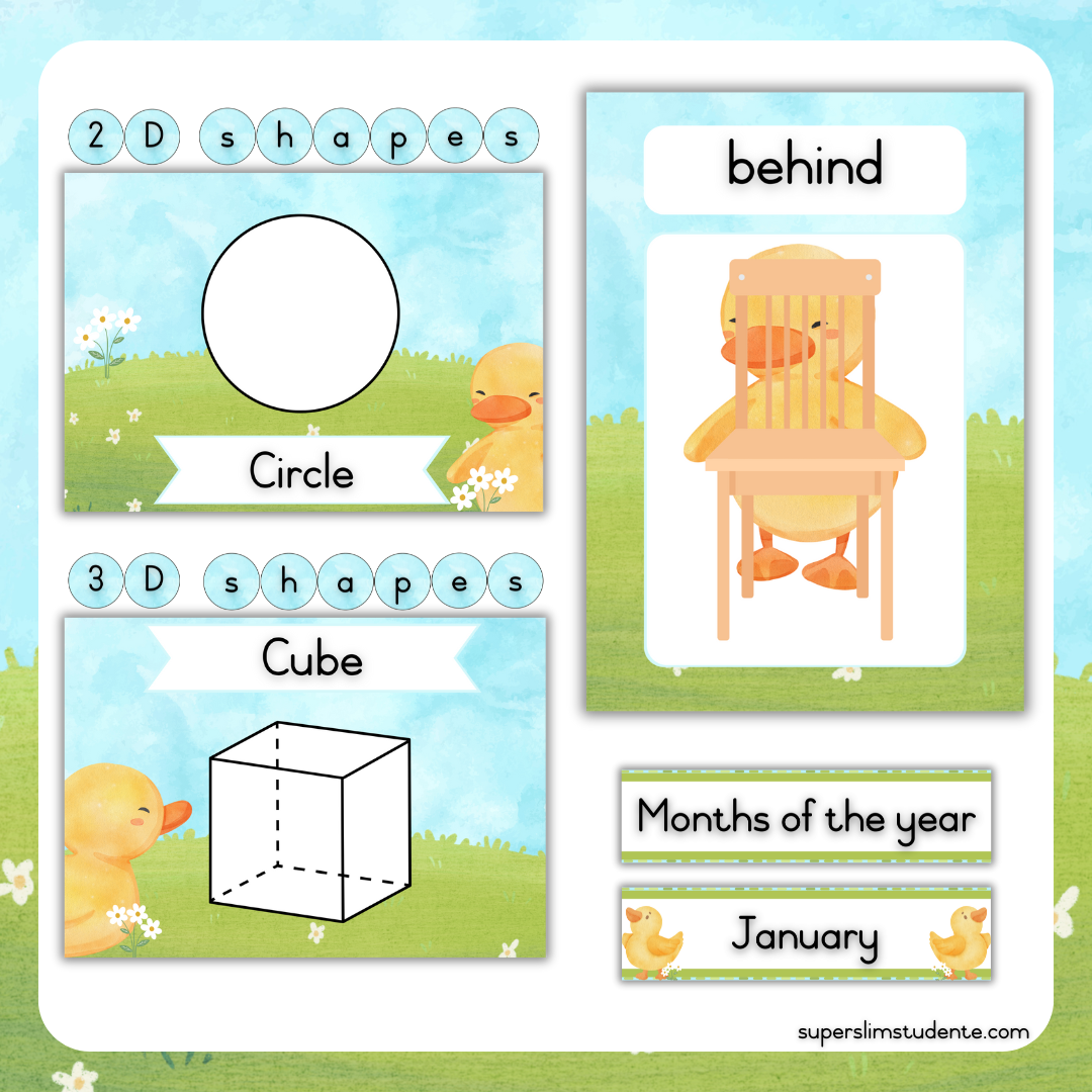 Cute Duckies Classroom Theme (Foundation Phase)