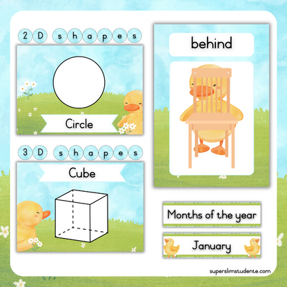 Cute Duckies Classroom Theme (Foundation Phase)