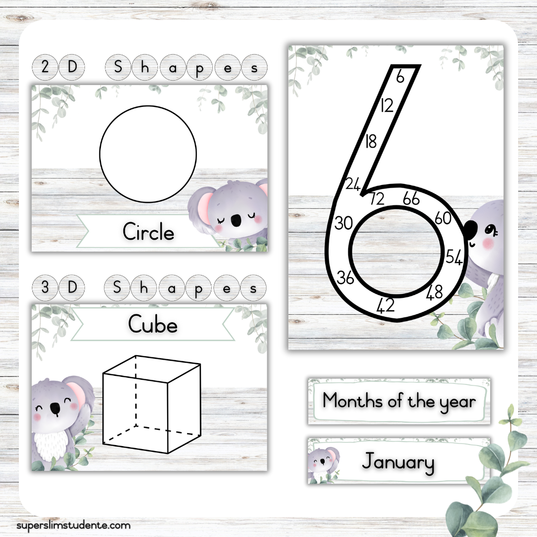 Koala Classroom Theme (Foundation Phase)