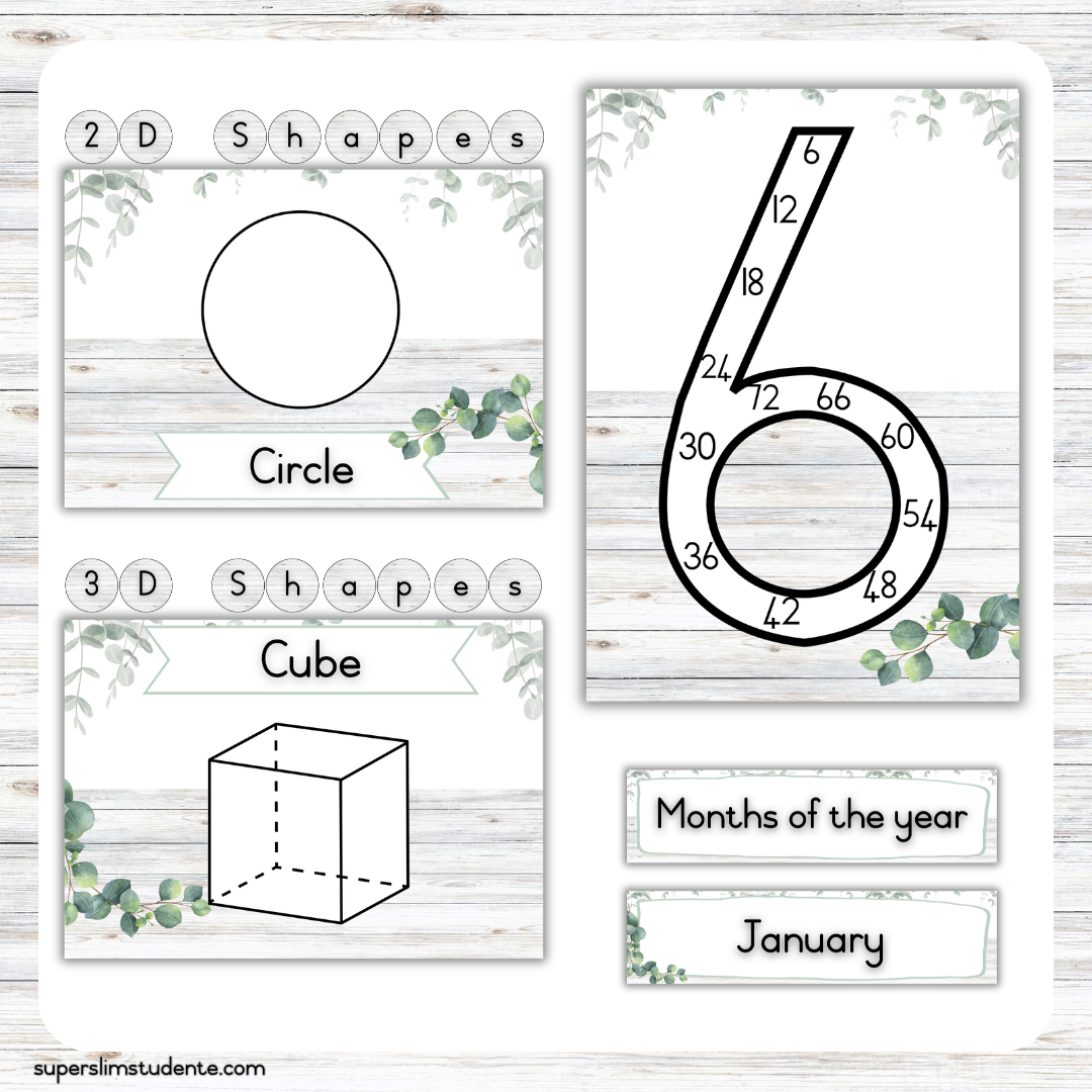 Eucalyptus Classroom Theme (Foundation Phase)