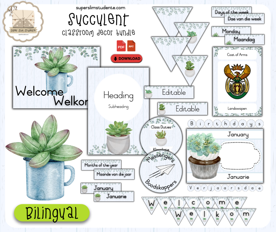 Succulent [Theme Bundles]