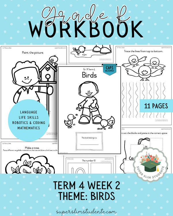 Gr. R Term 4 Workbook: Birds [Choose Language] – Super Slim Studente