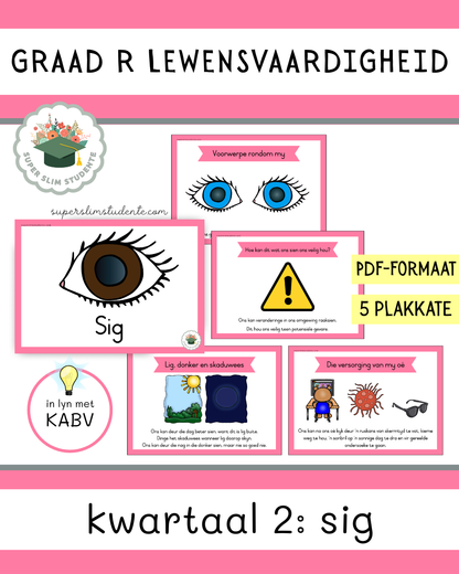Grade R Term 2: Sight [Choose Language]