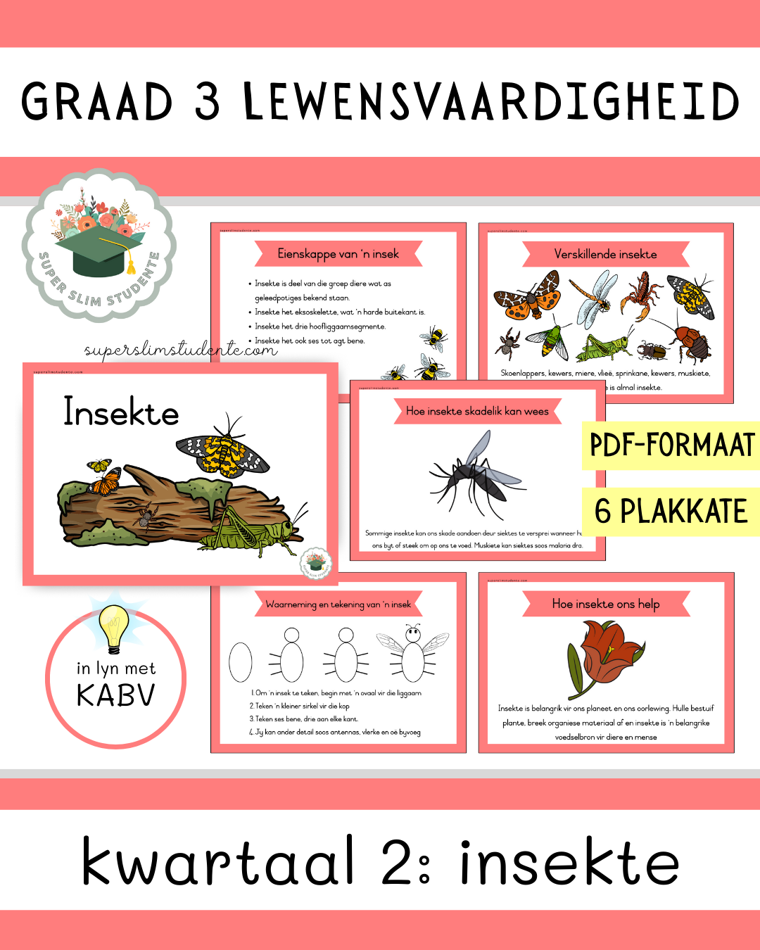 Grade 3 Term 2: Insects [Choose Language]