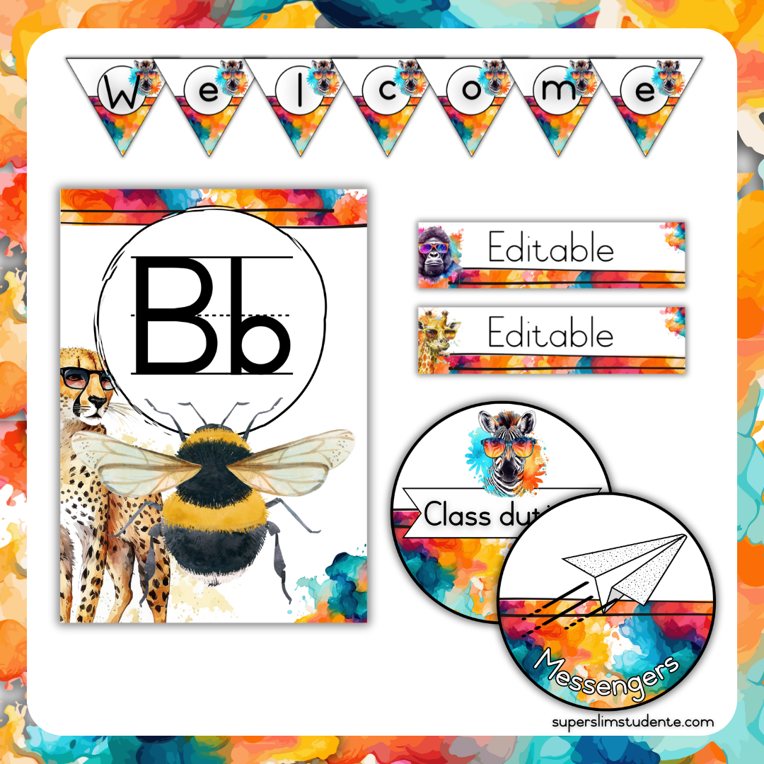 Bright Animals Classroom Theme (Foundation Phase)