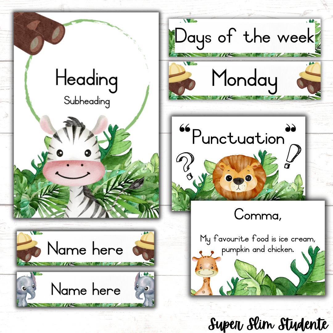 Safari Classroom Theme (Foundation Phase)