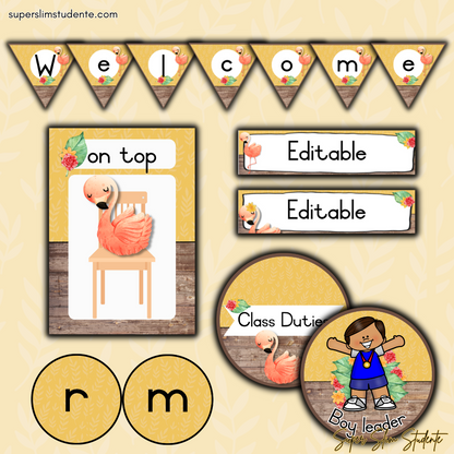 Flamingo Classroom Theme (Foundation Phase)