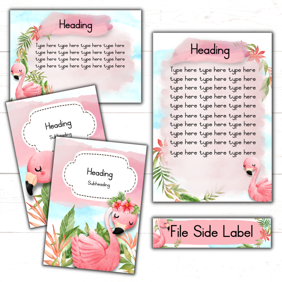 Flamingo Classroom Theme (Editable Version)