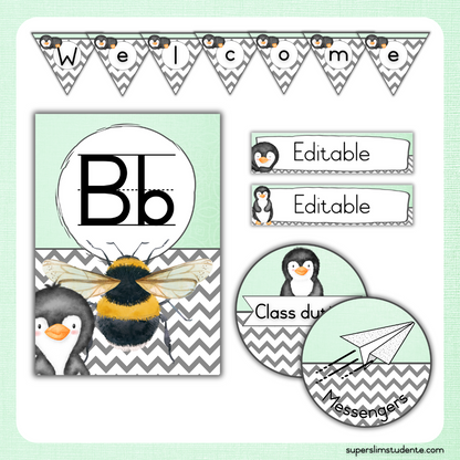 Mint Penguin Classroom Theme (Foundation Phase)