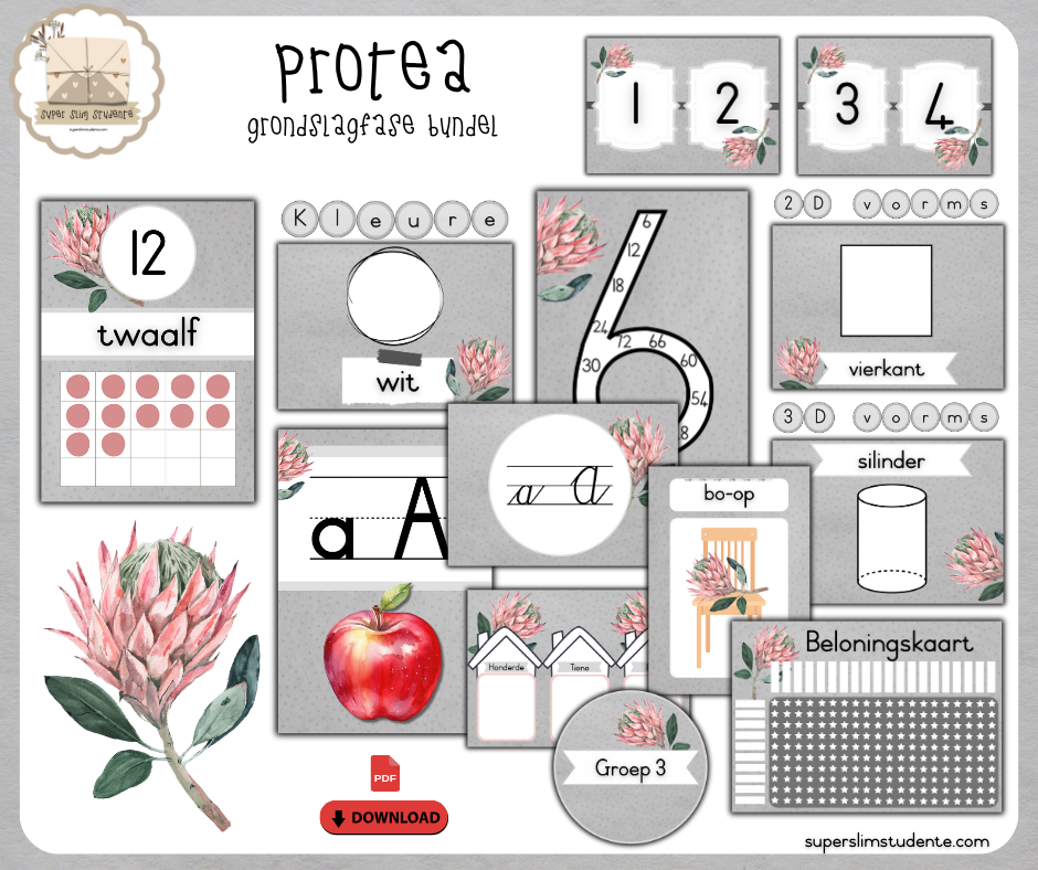 Protea Grey [Theme Bundles]