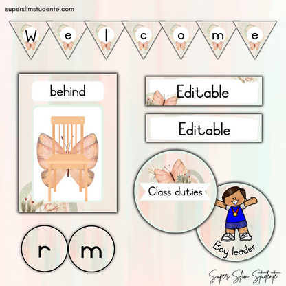 Boho Butterflies Classroom Theme (Foundation Phase)