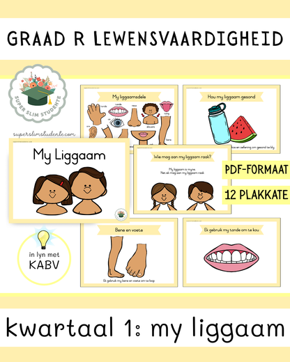 Grade R Term 1: My Body [Choose Language]
