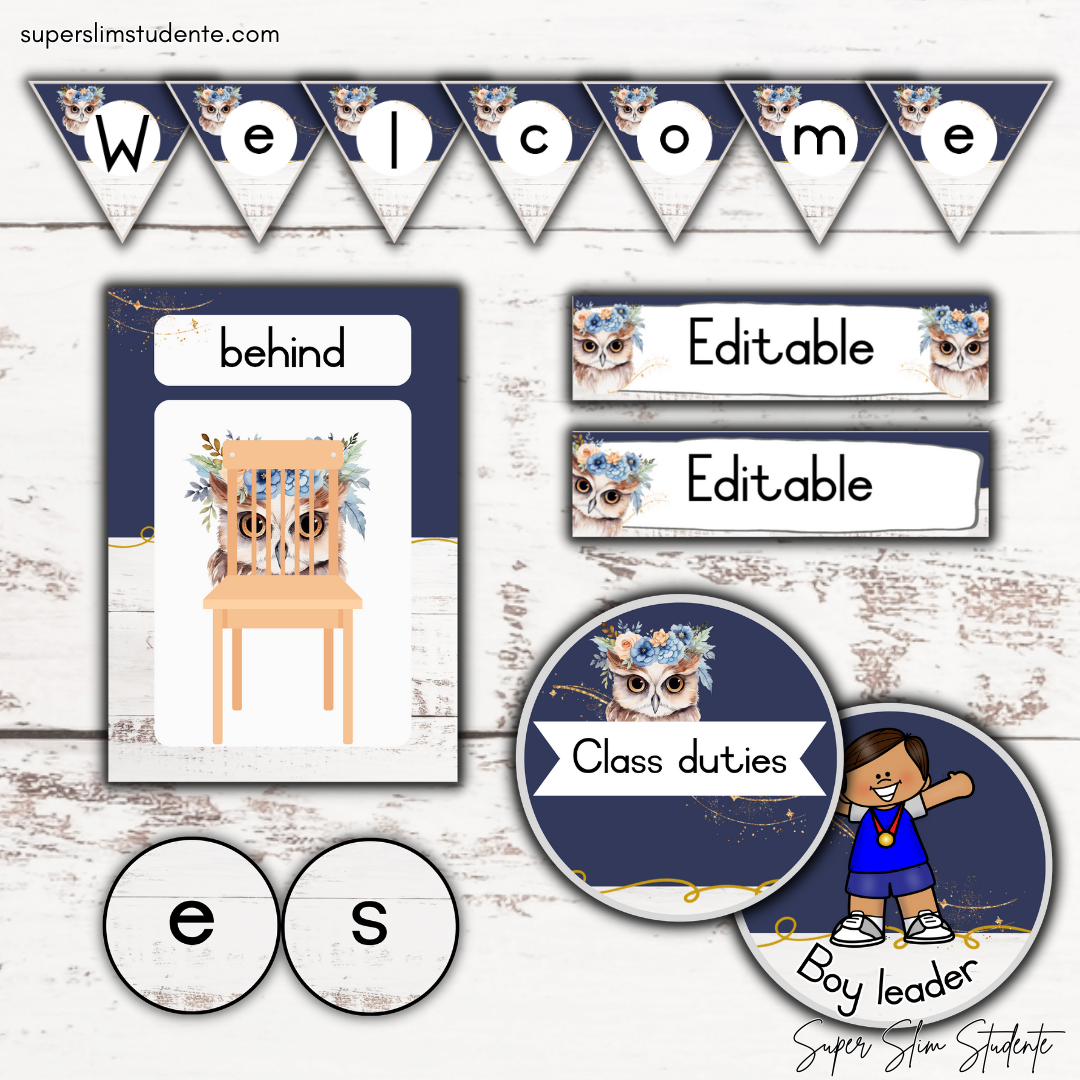 Modern Owl Classroom Theme (Foundation Phase)