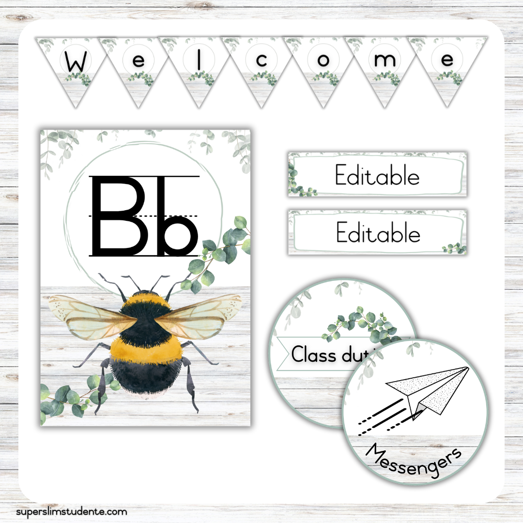 Eucalyptus Classroom Theme (Foundation Phase)