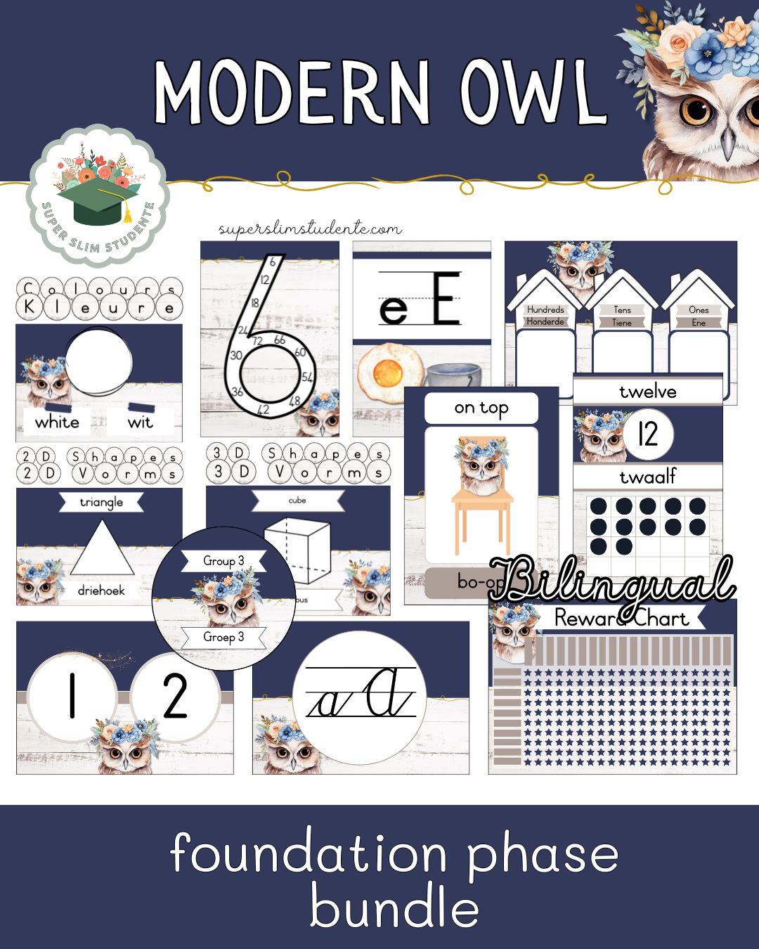 Modern Owls Theme / Foundation Phase Bundle [Bilingual]