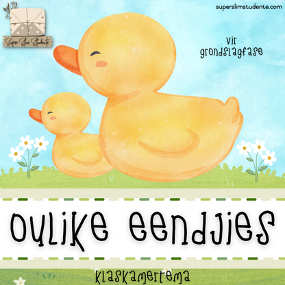 Cute Duckies Classroom Theme (Foundation Phase)