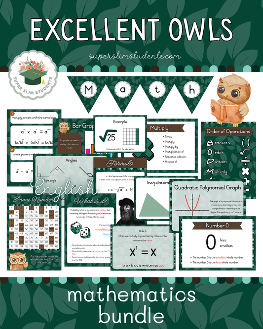 Excellent Owls Theme / Senior Phase Mathematics Bundle [Choose Language]