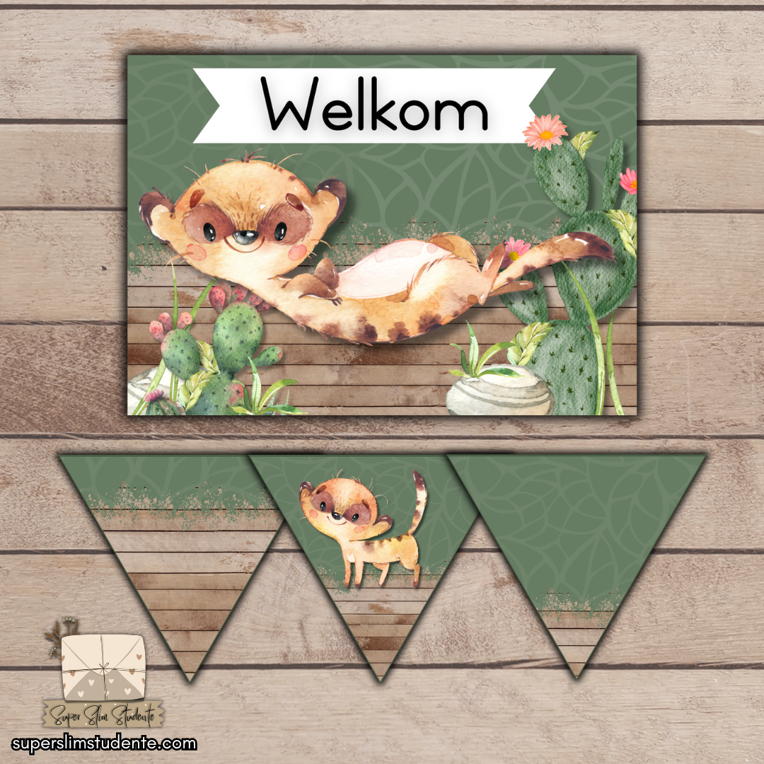 Meerkat Classroom Theme (Foundation Phase)