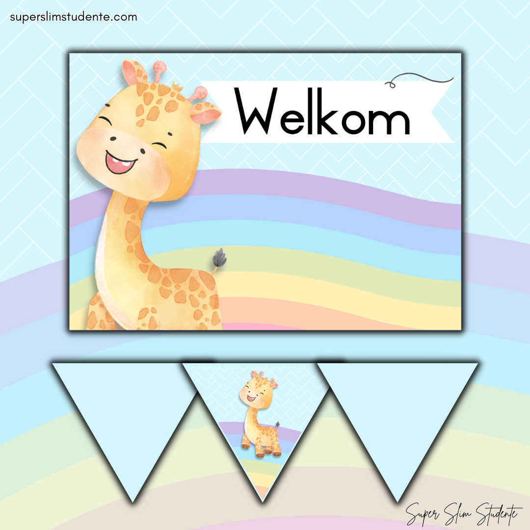 Rainbow Giraffe Classroom Theme (Foundation Phase)