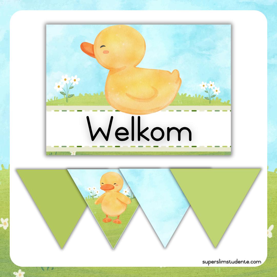 Cute Duckies Classroom Theme (Foundation Phase)