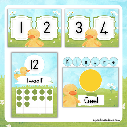 Cute Duckies Classroom Theme (Foundation Phase)