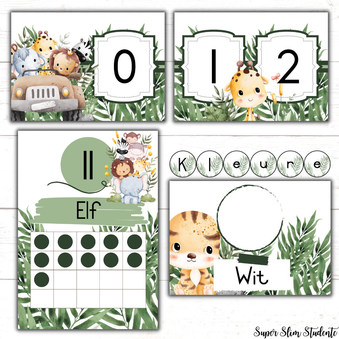 Cute Safari Classroom Theme (Foundation Phase)