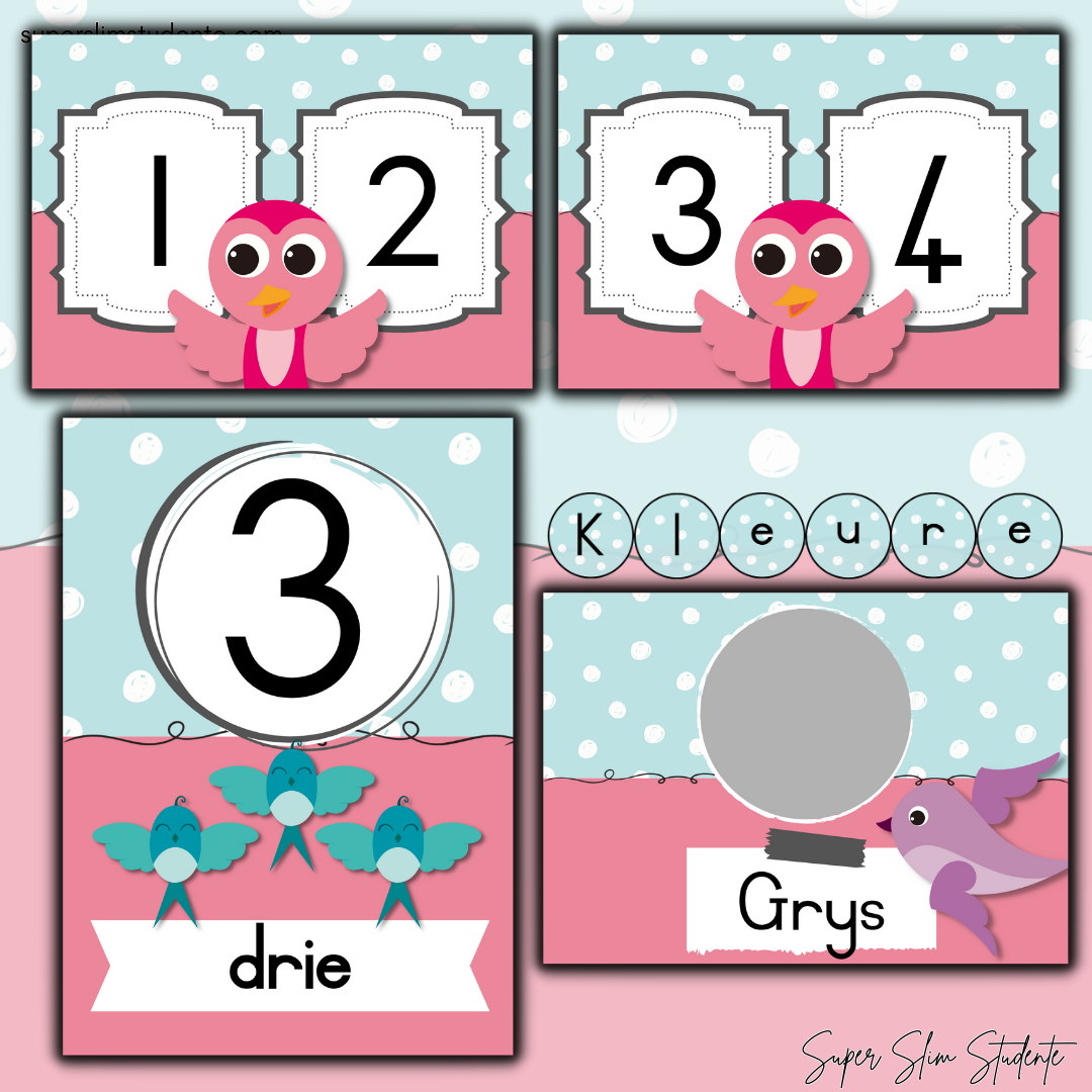 Bird Classroom Theme (Preschool)