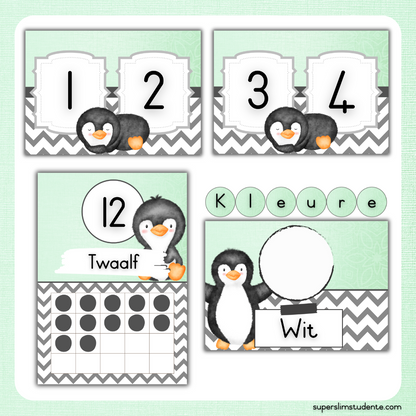 Mint Penguin Classroom Theme (Foundation Phase)