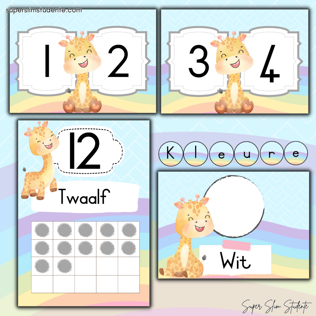 Rainbow Giraffe Classroom Theme (Foundation Phase)