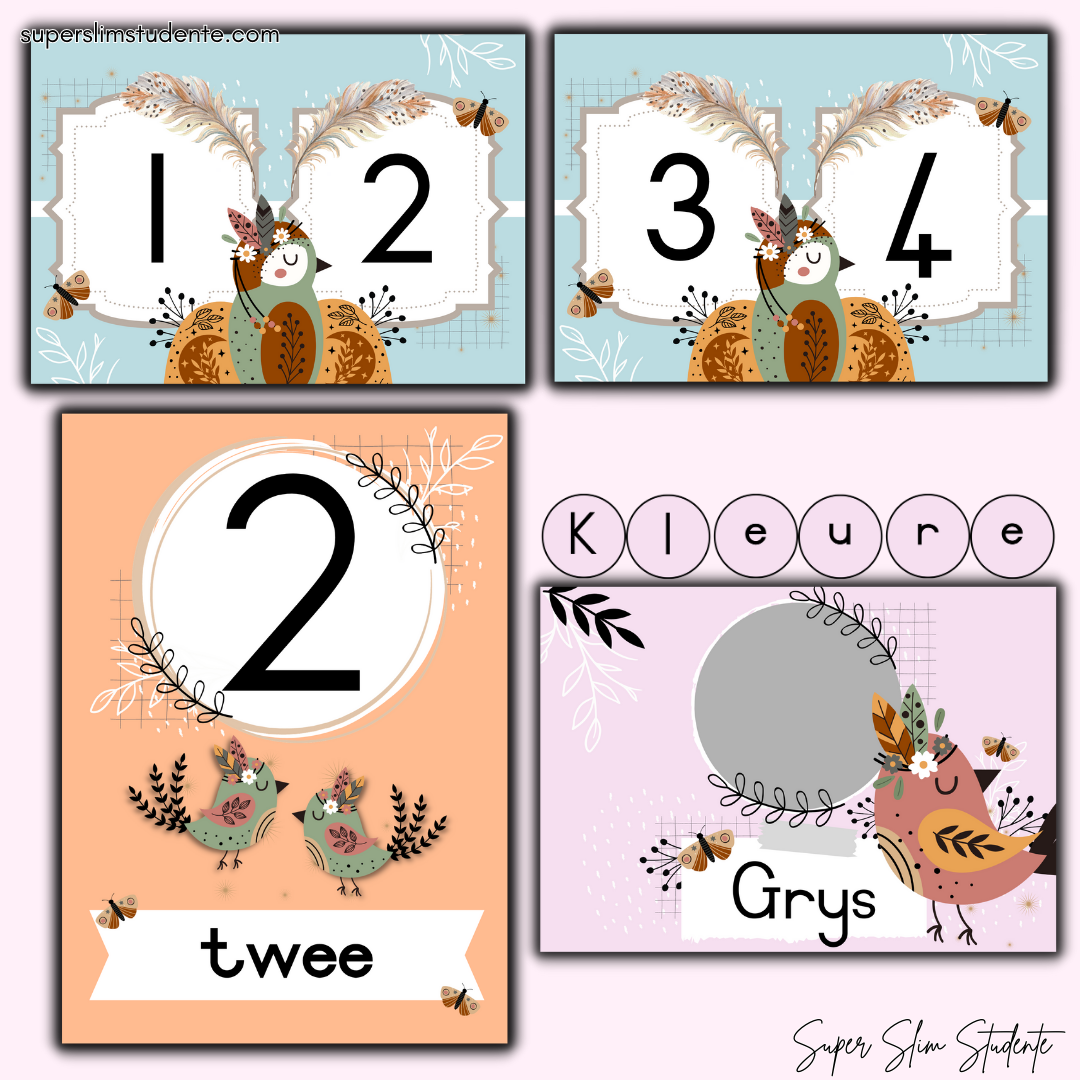 Pastel Boho Birds Classroom Theme (Preschool)