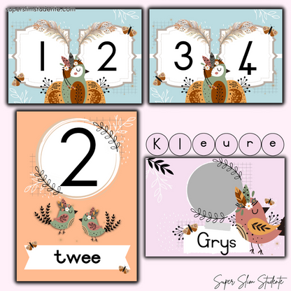 Pastel Boho Birds Classroom Theme (Preschool)