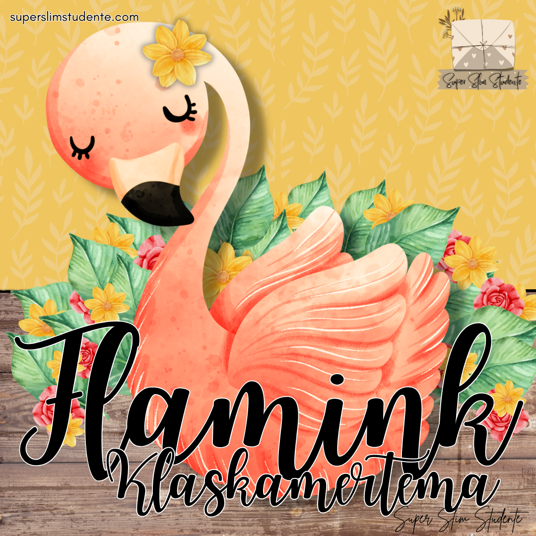 Flamingo Classroom Theme (Foundation Phase)