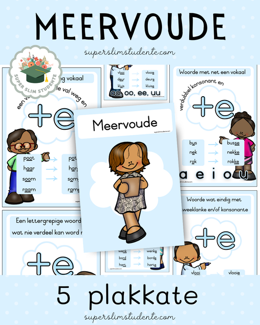 Meervoude Reëls Plakkate