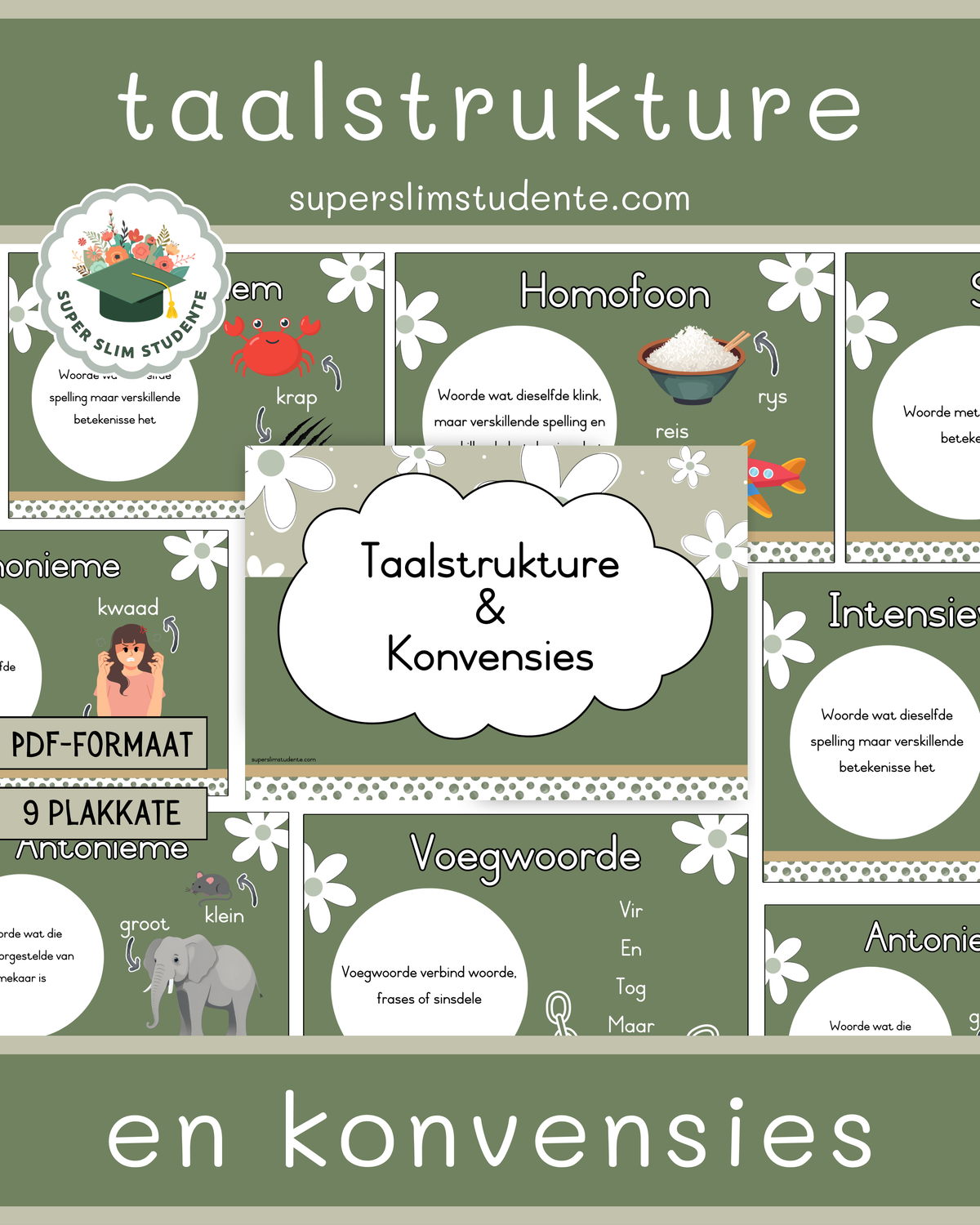Taalstrukture en Konvensies / Daisy Chic Theme