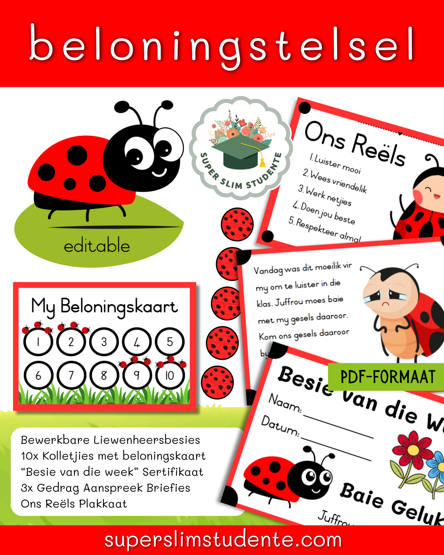 Beloningstelsel / Ladybug Theme