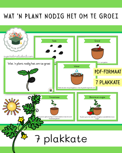 What a plant needs to grow [Choose Language]