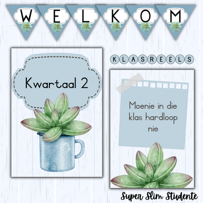 Succulent Classroom Theme (Foundation Phase)