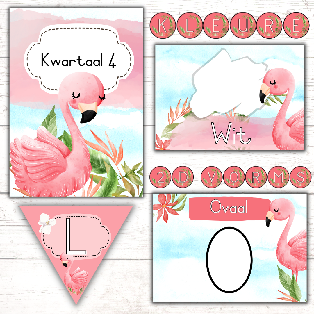 Flamingo Classroom Theme