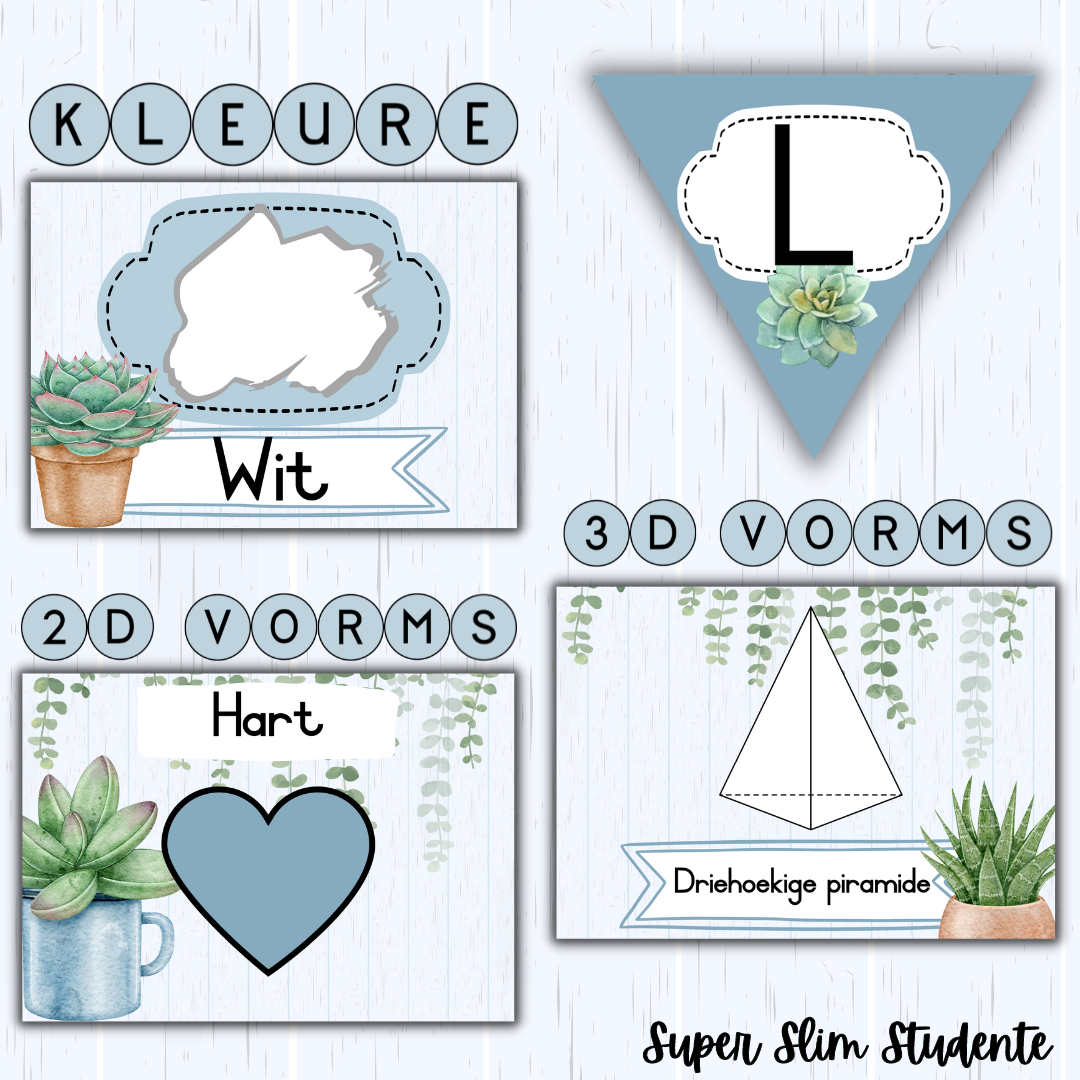 Succulent Classroom Theme (Foundation Phase)