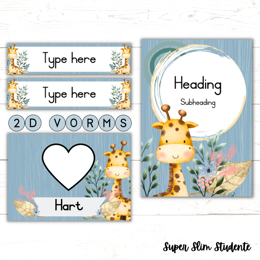 Giraffe Classroom Theme (Foundation Phase)