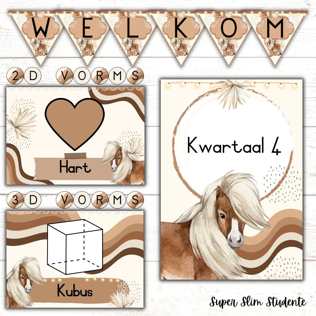 Boho Horse Classroom Theme (Foundation Phase)