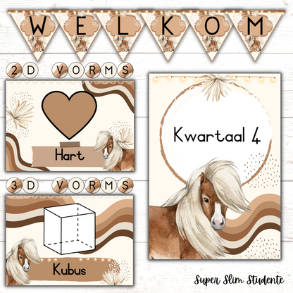 Boho Horse Classroom Theme (Foundation Phase)