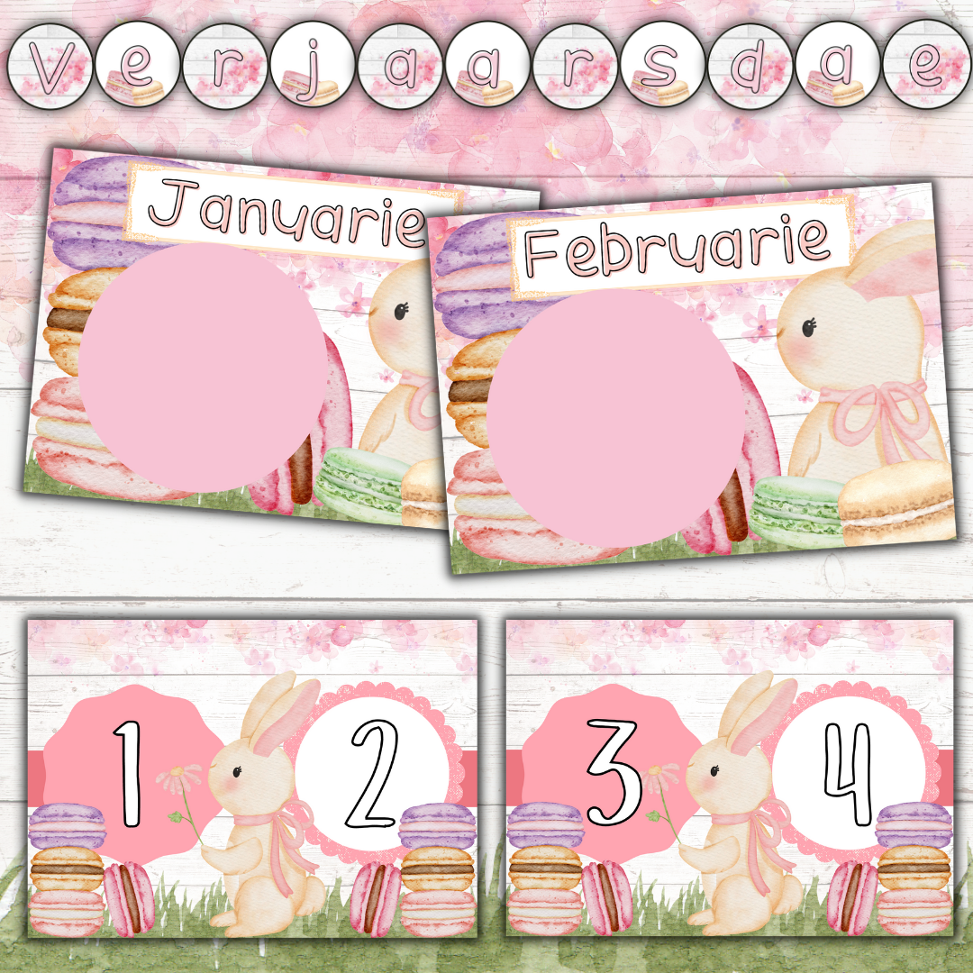 Bunny Macaron Theme (Foundation Phase)