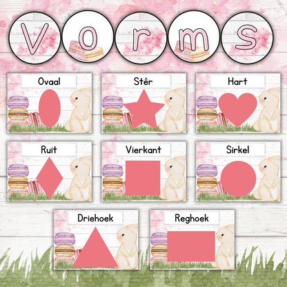 Bunny Macaron Theme (Foundation Phase)