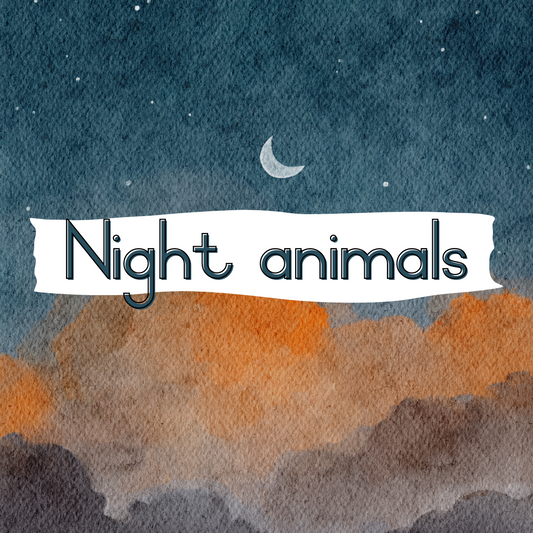 Night Animals