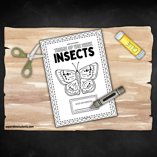Insects Grade RR & R Workbook